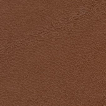 Leather Uno : Uno / Caramel