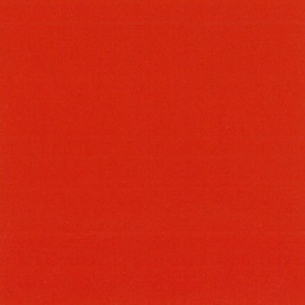 Lacquer : Red Orange / #305