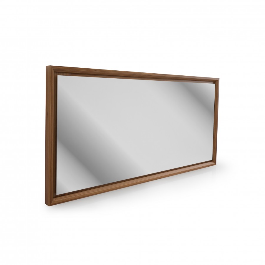 horizontal Mirror