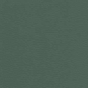 FABRIC Delta : Delta FABRIC Delta : Delta