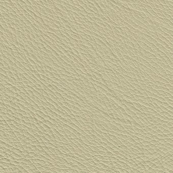 FABRIC Leather Uno : Uno / Boston White